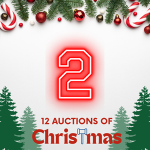 auction event image