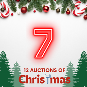 auction event image